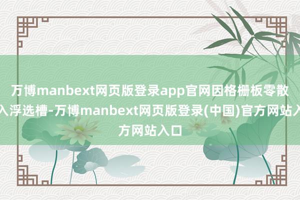 万博manbext网页版登录app官网因格栅板零散坠入浮选槽-万博manbext网页版登录(中国)官方网站入口